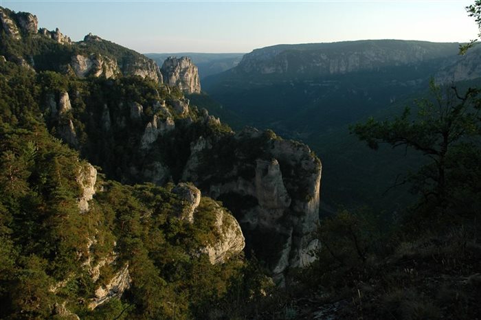 Patrimoine naturel de l’Aveyron et de la Lozère, Gorges du Tarn